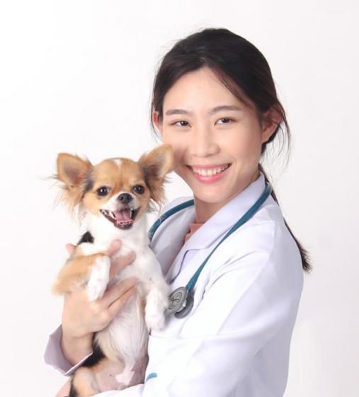 image doctor